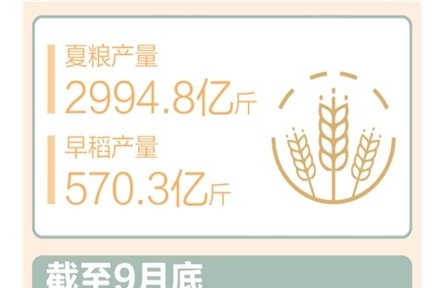 前三季度農村居民人均可支配收入同比實際增長6%