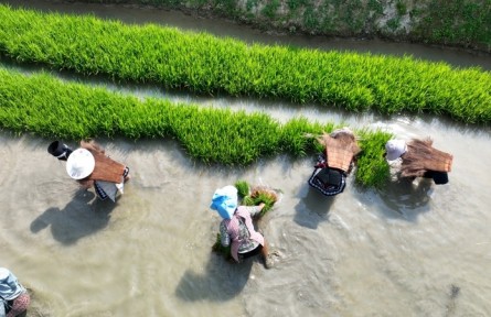 挖掘農(nóng)業(yè)文化遺產(chǎn)價值 賦能鄉(xiāng)村全面振興