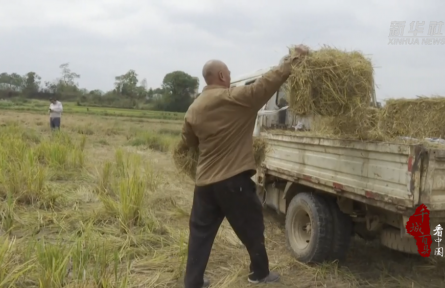 湖南祁陽:“生態(tài)循環(huán)”激活鄉(xiāng)村振興“雙贏路”