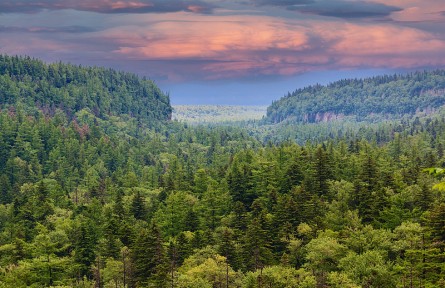 科技名詞|自然保護區(qū) nature reserve，nature sanctuary