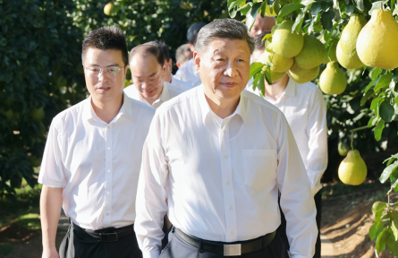 一見·柚子里的“三農(nóng)”情懷