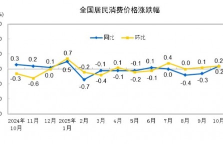 國家統(tǒng)計局：10月份居民消費價格同比上漲0.2%