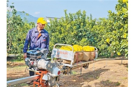 廣東梅州梅縣區(qū)南福村延伸金柚產業(yè)鏈，推動農文旅融合——柚農從一季賣果到四季有進項