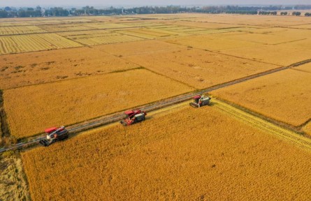 增肥黑土地 筑牢大糧倉——吉林加強黑土地保護一線觀察