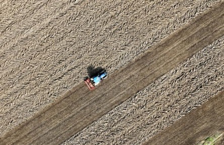 記者手記：晚播晚種，會影響“中原糧倉”明年夏收嗎？