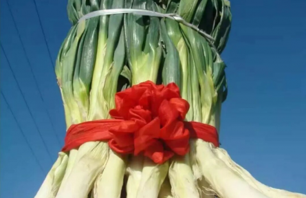 家鄉(xiāng)特優(yōu)農(nóng)產(chǎn)品大學(xué)生推薦官 | 品牌智庫(kù)建議⑦：澤州巴公的金蔥之路