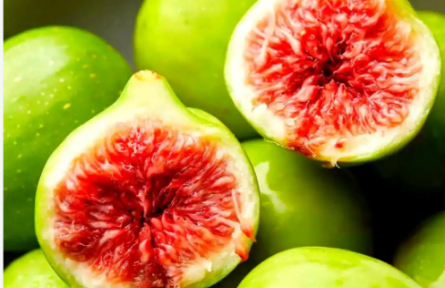 山東威海：山海之間的“糖包子”——無花果