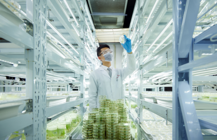 中國智慧解決農(nóng)業(yè)難題：新一代綠色除草技術(shù)形成體系