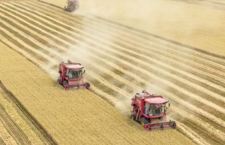 筑牢發(fā)展安全根基 守住風(fēng)險(xiǎn)防控底線——解碼中國經(jīng)濟(jì)穩(wěn)健前行的底氣