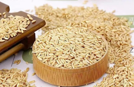 家鄉(xiāng)特優(yōu)農(nóng)產(chǎn)品大學(xué)生推薦官 | 品牌手記?：寧武，高山雜糧莜麥變營(yíng)養(yǎng)黃金