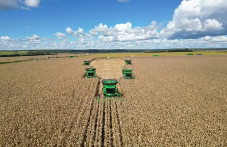 我國最大墾區(qū)北大荒集團(tuán)糧食總產(chǎn)463.14億斤 實(shí)現(xiàn)“二十二連豐”