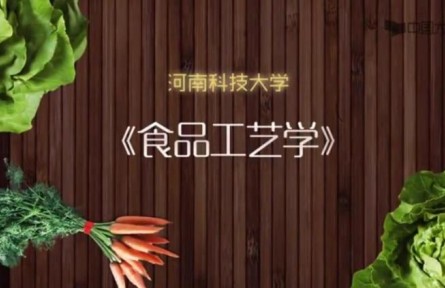 《食品工藝學(xué)》課程系列講座視頻