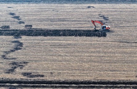 農(nóng)田提質(zhì)效 沃野煥新機——2025年高標準農(nóng)田建設一線觀察