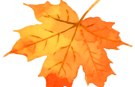 2025家鄉(xiāng)“特”“優(yōu)”農(nóng)產(chǎn)品“大學(xué)生推薦官”公益行動（第1季）圓滿收官