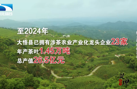 《是這個理》：紅土地的新茶事