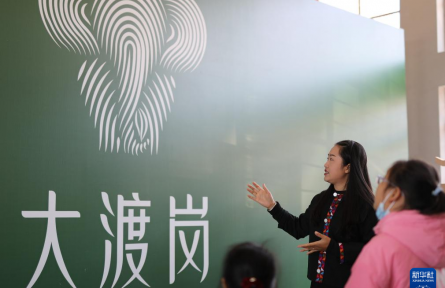 農(nóng)村集體經(jīng)濟(jì)經(jīng)理人魏春：以青春力量 勾勒熱土新景