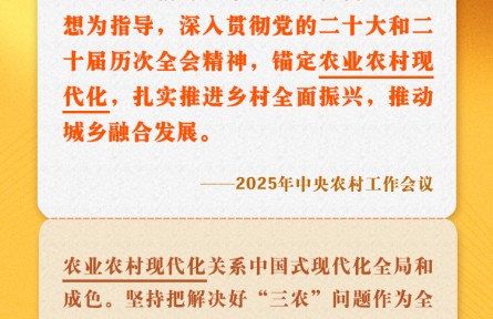 中央農(nóng)村工作會(huì)議關(guān)鍵提法之一：農(nóng)業(yè)農(nóng)村現(xiàn)代化