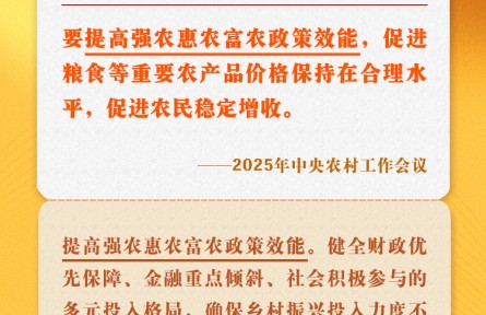 中央農(nóng)村工作會(huì)議關(guān)鍵提法之二：提高強(qiáng)農(nóng)惠農(nóng)富農(nóng)政策效能