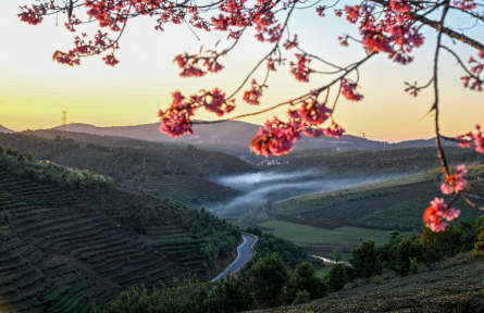 鄉(xiāng)村全面振興 rural revitalization across the board