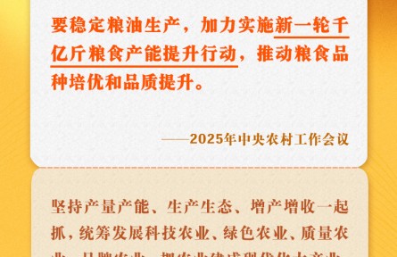 中央農(nóng)村工作會(huì)議關(guān)鍵提法之四：新一輪千億斤糧食產(chǎn)能提升行動(dòng)