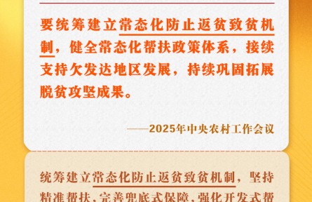 中央農(nóng)村工作會議關(guān)鍵提法之六：常態(tài)化防止返貧致貧機制