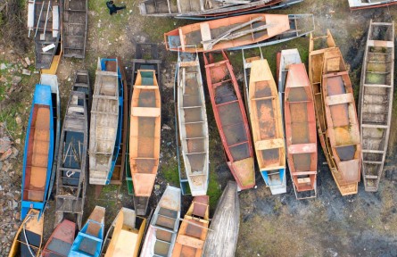 長(zhǎng)江禁漁五年，發(fā)生了哪些變化？