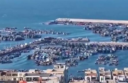 【“十五五”開(kāi)好局起好步】奮發(fā)進(jìn)取 繪就鄉(xiāng)村振興新圖景