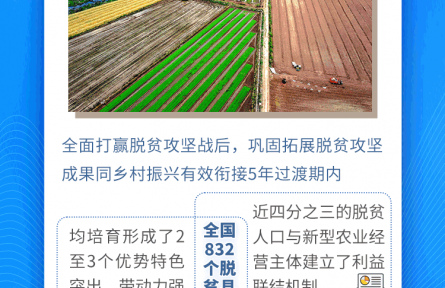 理響中國·聚焦2026“三農(nóng)”工作|從三個關(guān)鍵點看“培育壯大縣域富民產(chǎn)業(yè)”