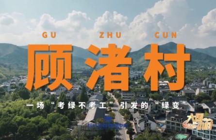 大國小村|一場(chǎng)“考綠不考工”引發(fā)的“綠變”