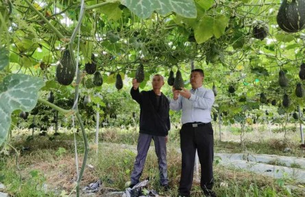 集體收入從不足3萬到70余萬，這個(gè)“紅色村”靠什么逆襲?