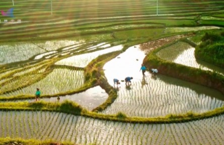 黑科技讓土壤“滿血復活”