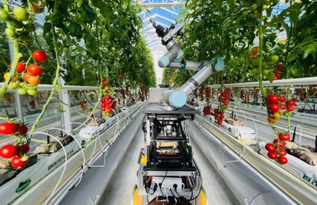 綠染沃野，生生不息——“十四五”農(nóng)業(yè)發(fā)展全面綠色轉(zhuǎn)型綜述