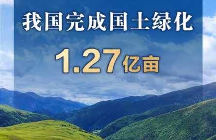 2025年我國完成國土綠化1.27億畝