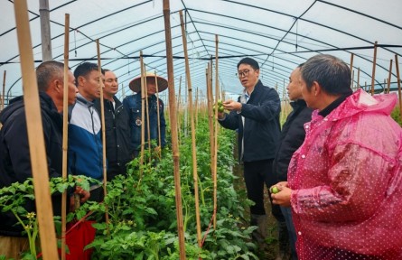 曾祥亮：扎根田野18年，他給莊稼當醫(yī)生