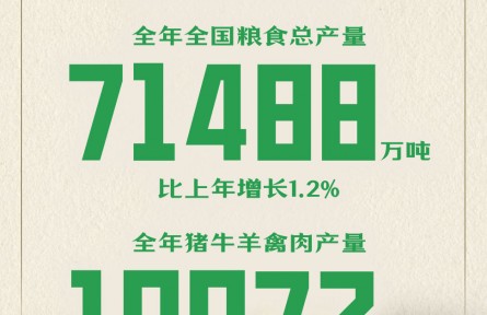 穩(wěn)、豐、增、快、升、優(yōu)！六個(gè)關(guān)鍵字看中國(guó)經(jīng)濟(jì)亮點(diǎn)