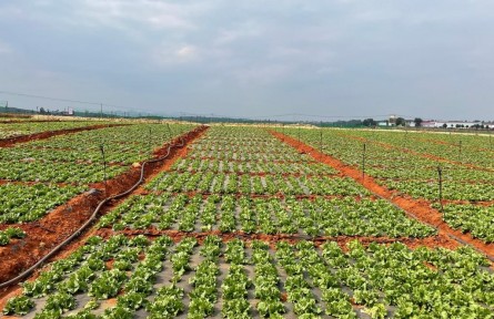 萬元國(guó)內(nèi)生產(chǎn)總值用水量 water consumption per 10,000 yuan of GDP