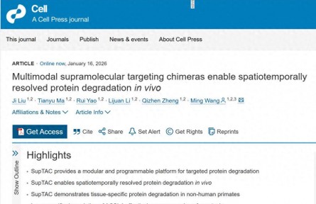 中國科學(xué)院團隊破清除“致病蛋白”難題，有望延緩老年癡呆等疾病進(jìn)展