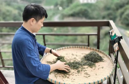 周正祥：讓高山茶香飄更遠(yuǎn)