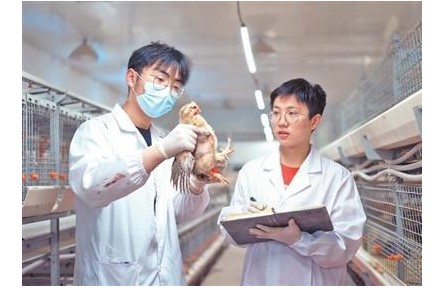 科技小院，扎根鄉(xiāng)土茁壯生長