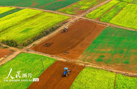 江西樟樹(shù)：立春將至農(nóng)事忙