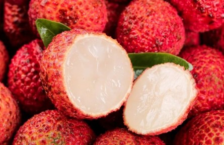 無核荔枝是用了絕育藥、打了激素？