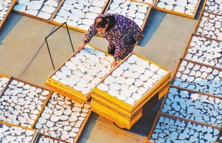 林下經(jīng)濟(jì)繪新篇