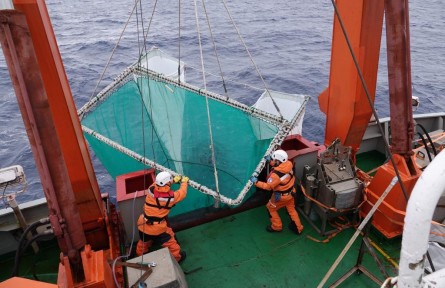 南極“糧倉”！我國磷蝦研究促進(jìn)產(chǎn)業(yè)升級(jí)