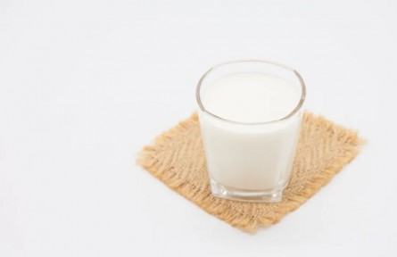 辟謠|喝牛奶養(yǎng)胃？