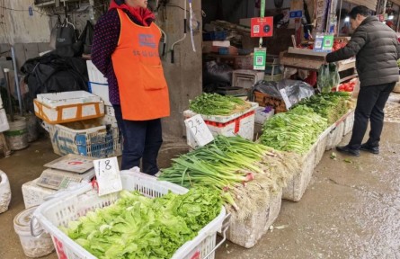 湖北武漢:蔬菜節(jié)后供應充足 市場可見多種“1元菜”