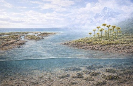 陸地上最早何時(shí)大規(guī)模出現(xiàn)植物？科學(xué)家有新發(fā)現(xiàn)